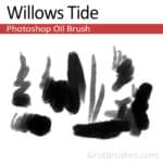Digital oil paint brush for Photoshop